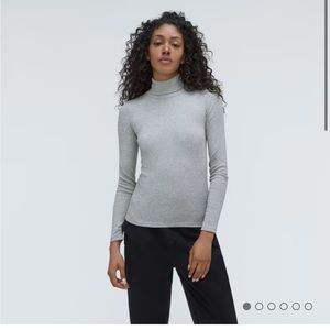 Everlane Pima Micro Rib Turtleneck